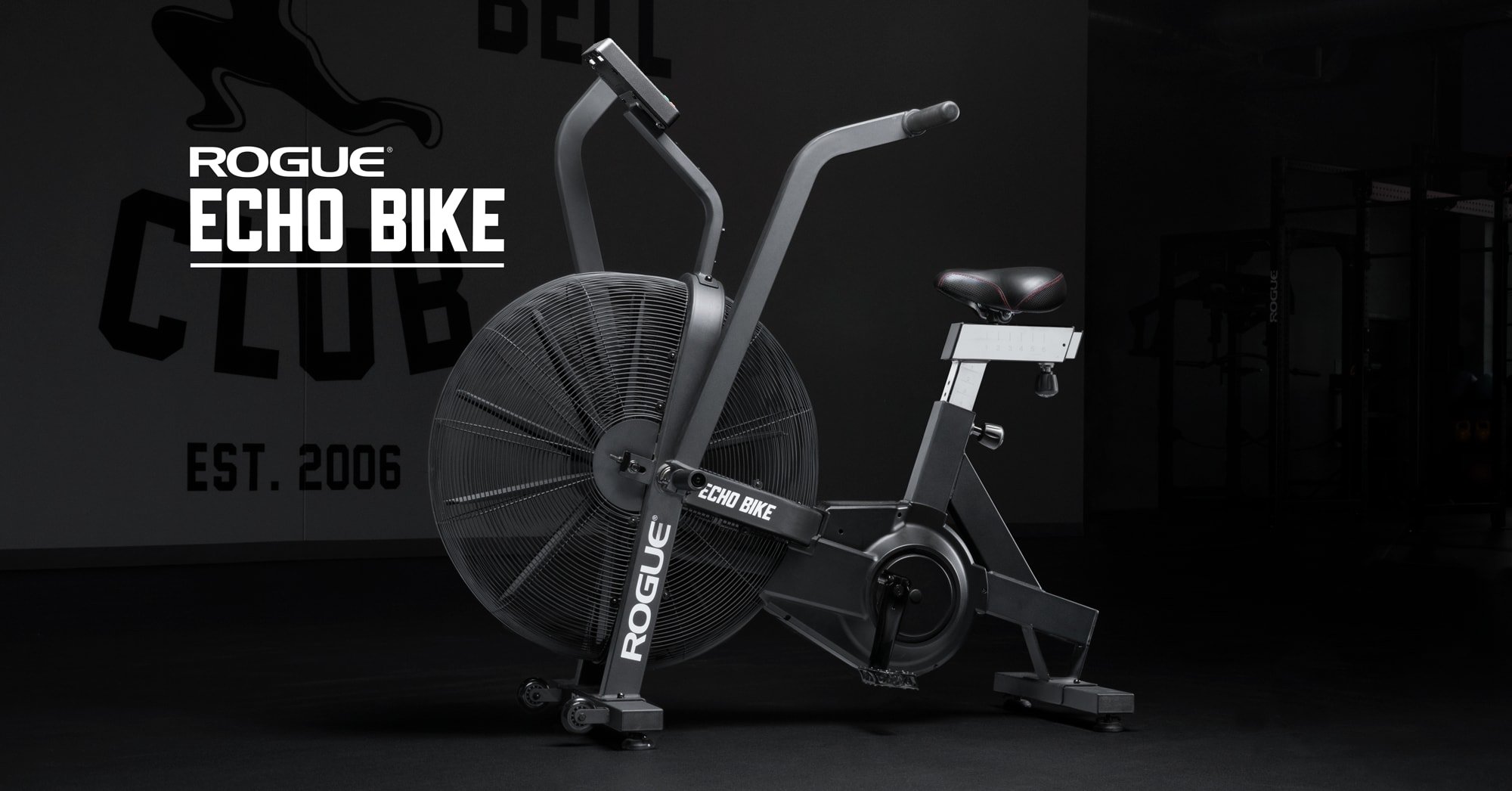Rogue Echo Bike