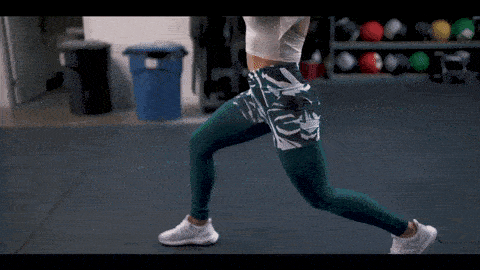 Ultimate Guide To The Best Push Pull Legs Workout Plan (2021) 35 lunges