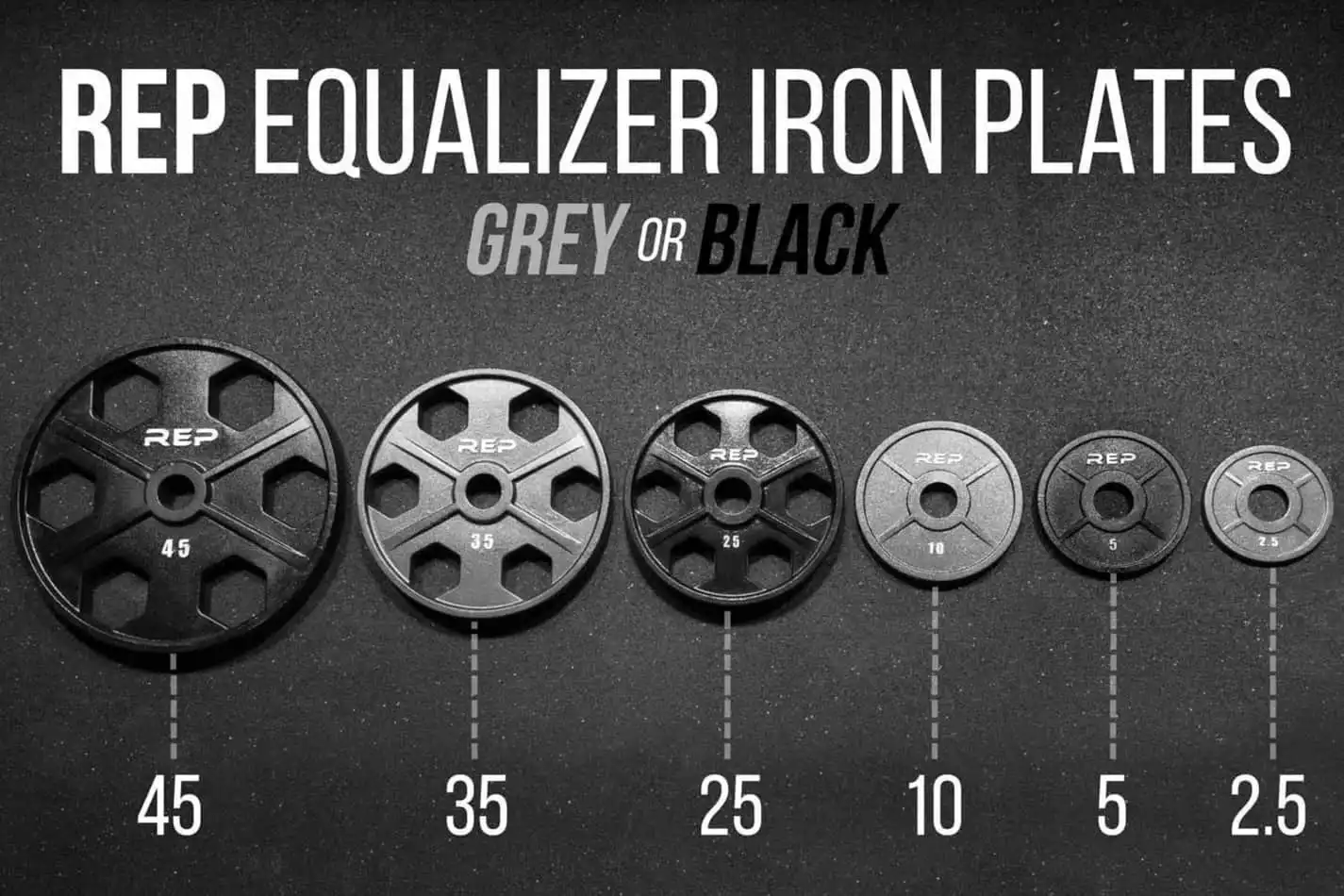 REP Equalizer Iron Olympic Plates
