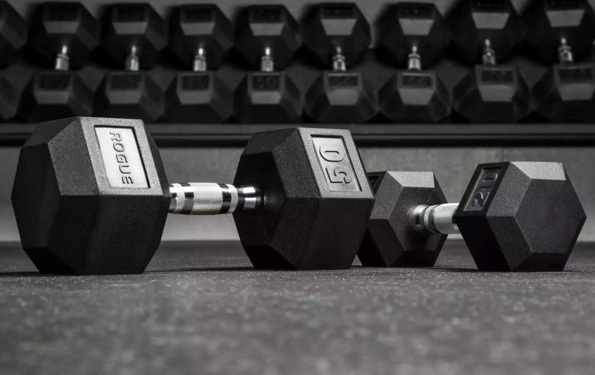 Rogue Dumbbells