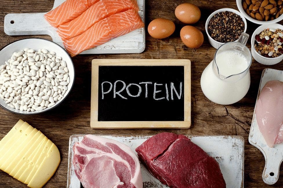 Foods High In Protein