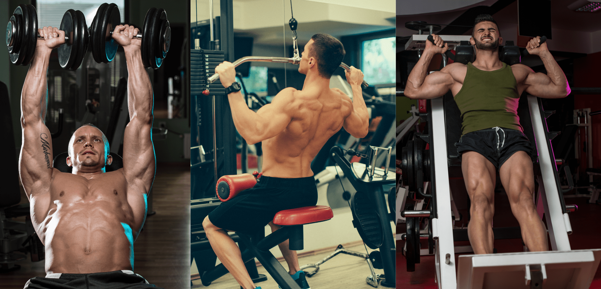 Push Pull Legs Split For Muscle Mass Best Routine To Build Muscle!