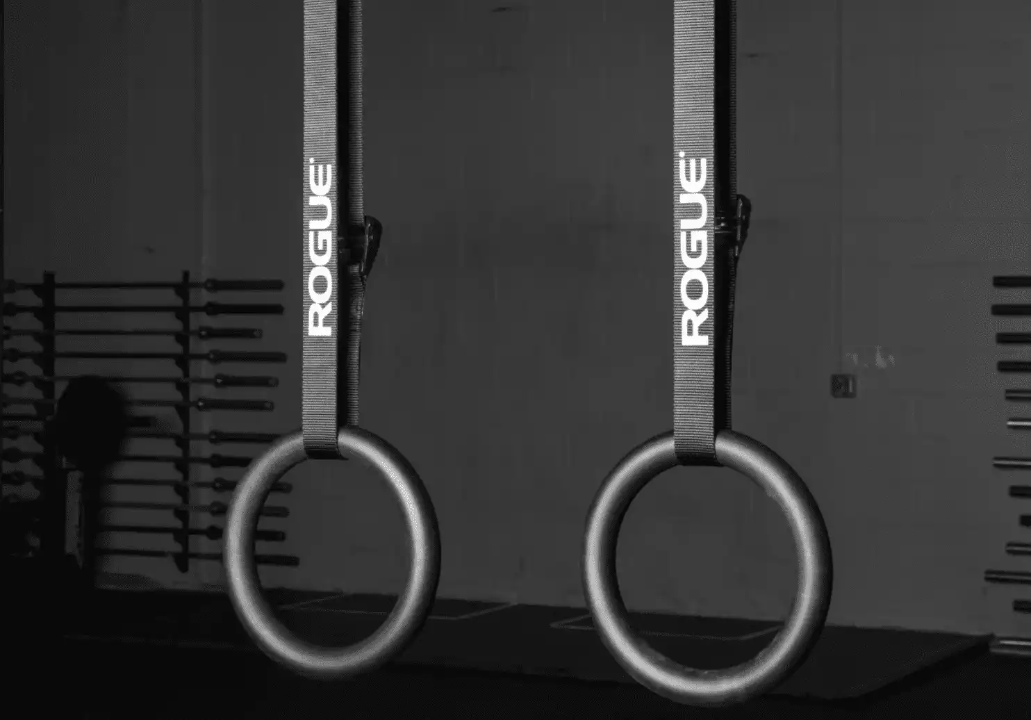Rogue Steel Gymnastics Rings
