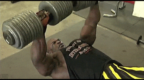 ronnie coleman smashing some heavy dumbbell bench presses