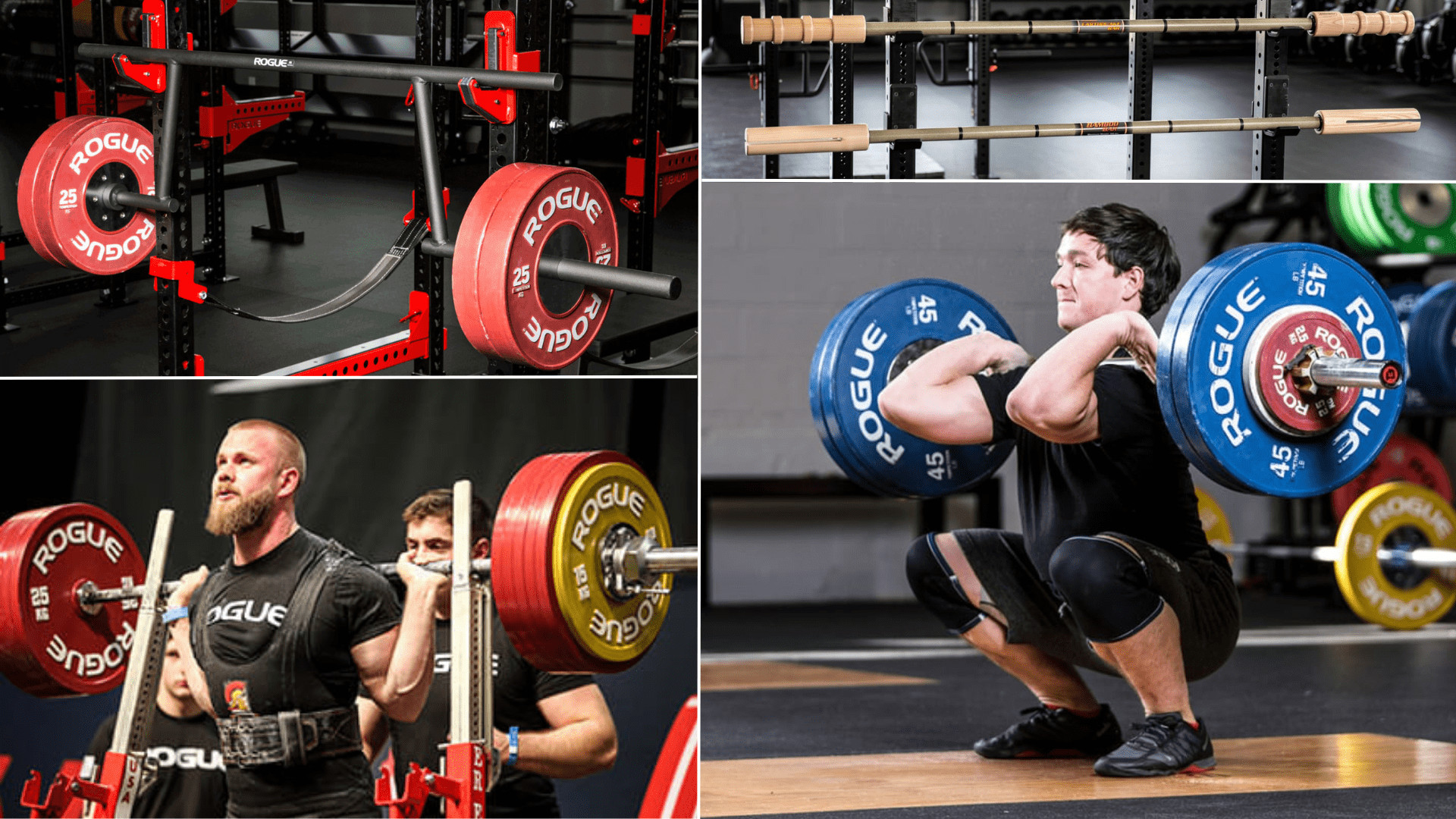 types of squat bars