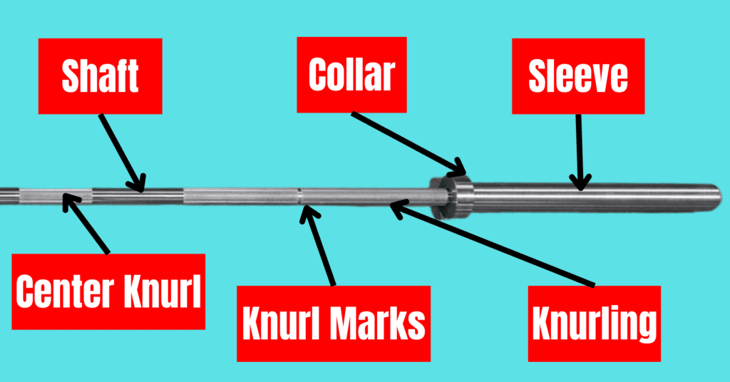anatomy of a barbell with labels for each part