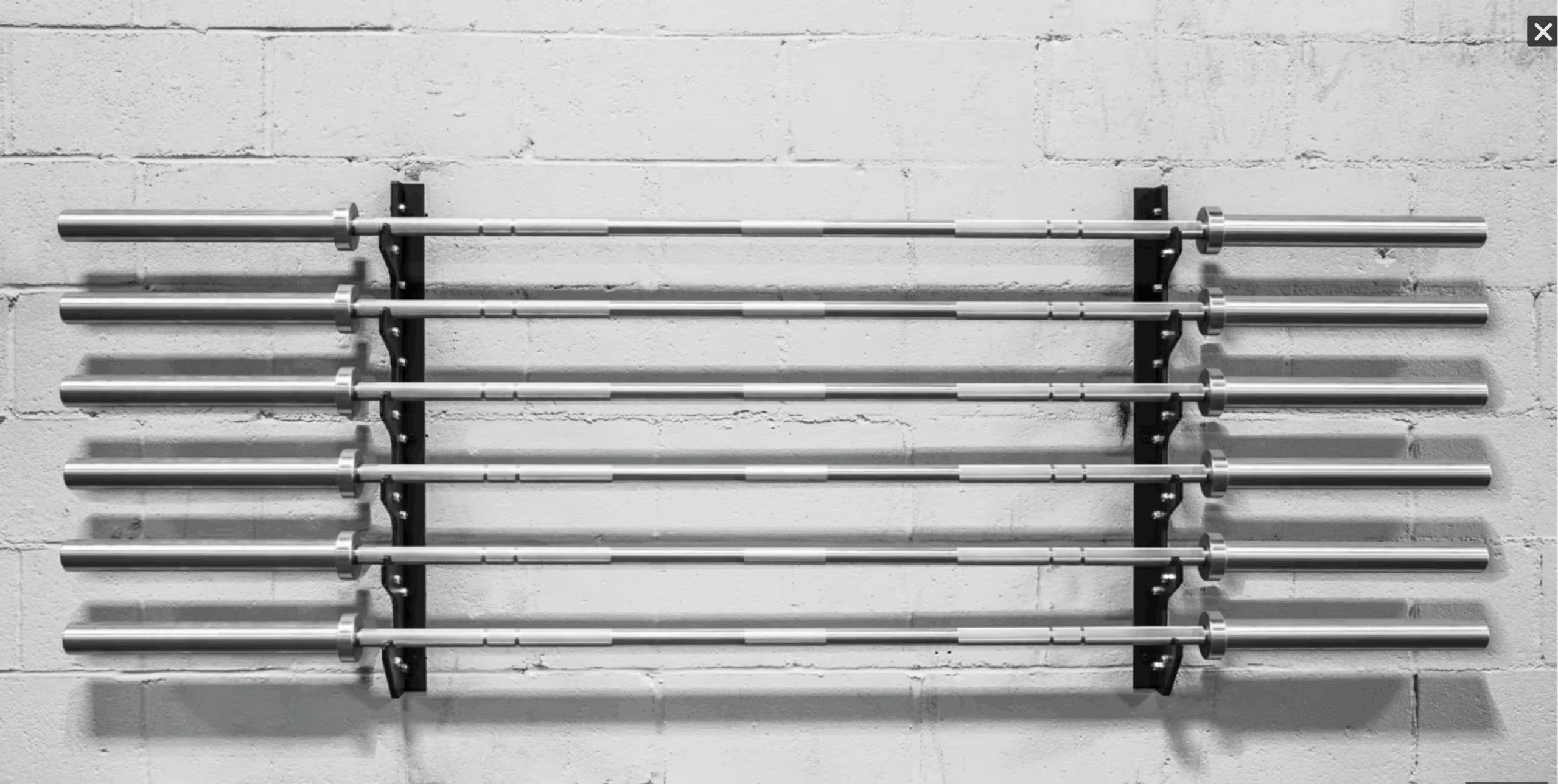 Rogue V2 Gun Rack