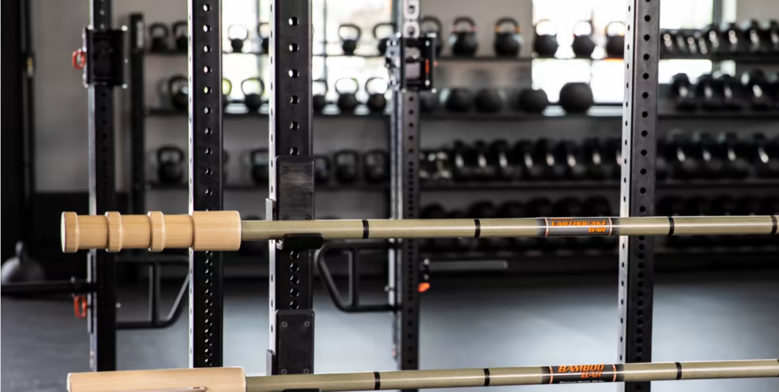 Bamboo/Earthquake Bars